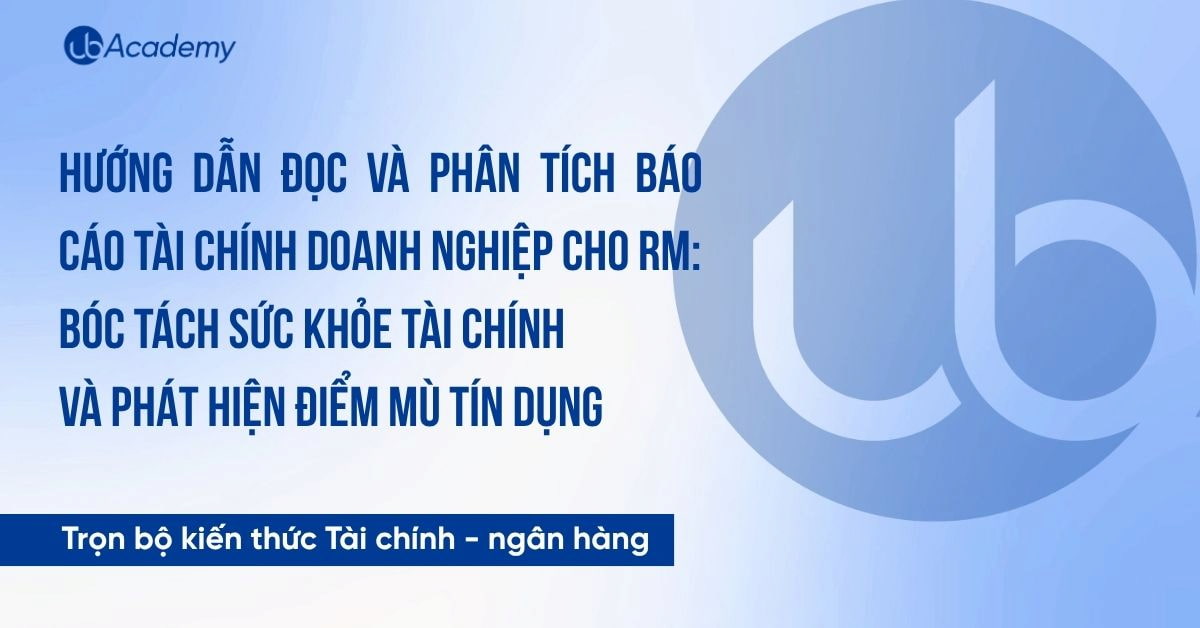 Hướng dẫn đọc và phân tích Báo cáo Tài chính Doanh nghiệp cho RM: Bóc tách sức khỏe tài chính và phát hiện điểm mù tín dụng