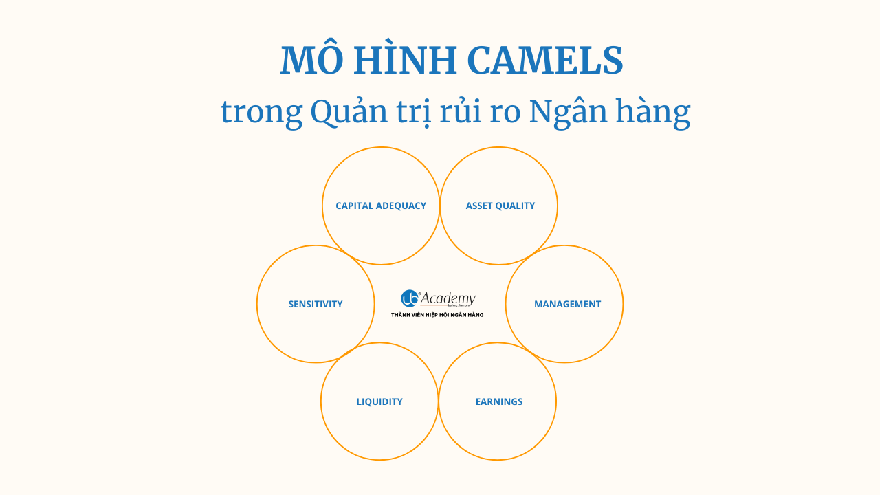 Bảng xếp hạng mới nhất 27 ngân hàng Việt theo mô hình CAMEL  ATMBiz