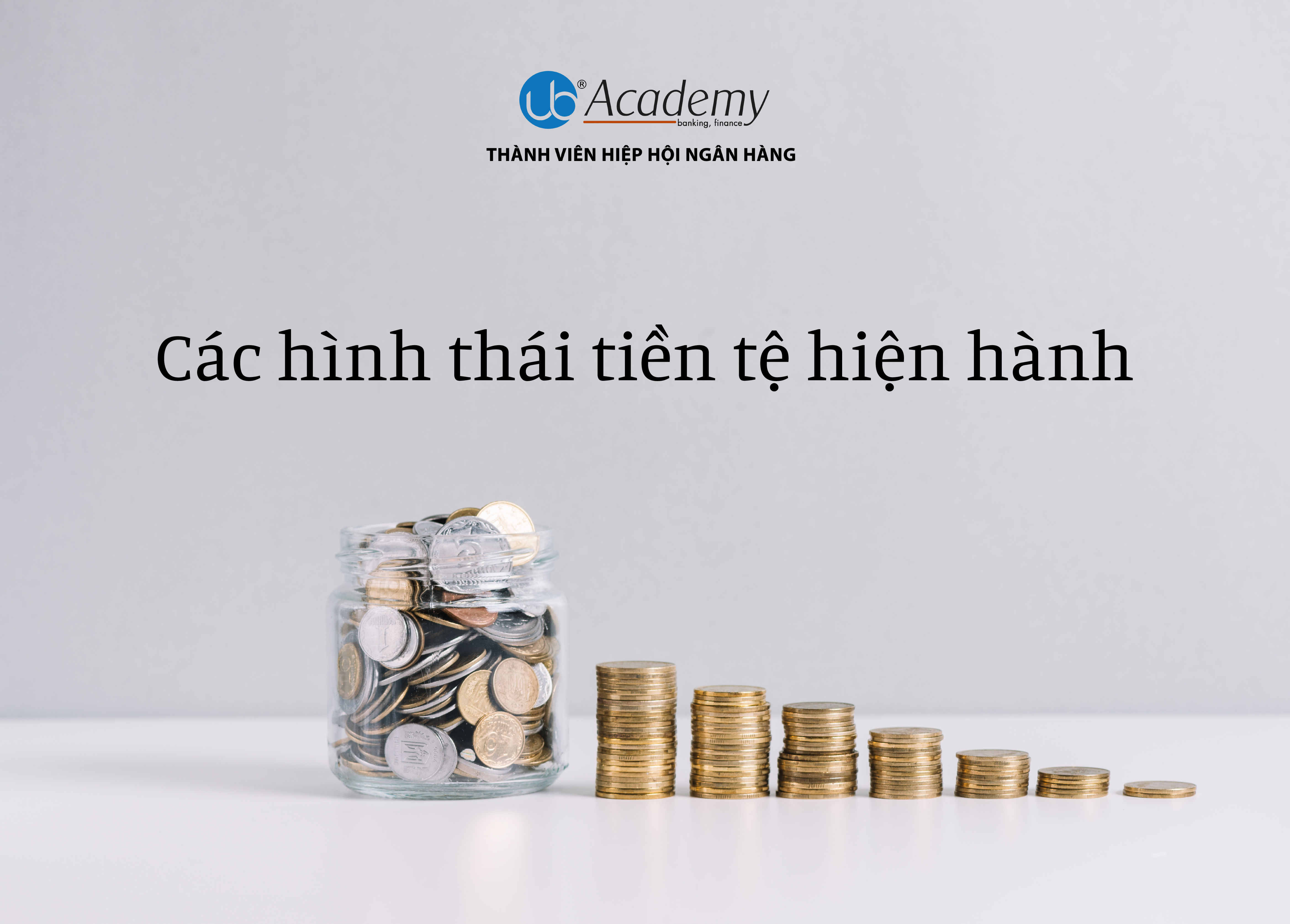 Các hình thái tiền tệ hiện hành (2022)