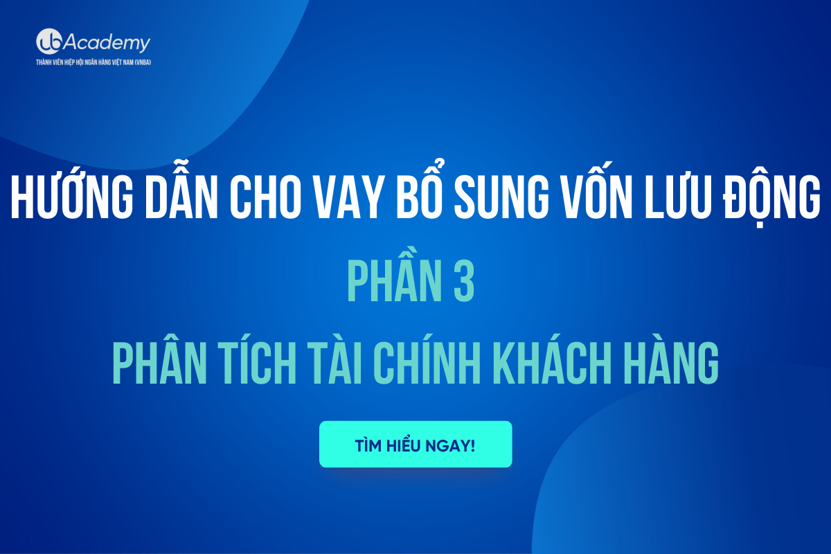 Hướng Dẫn Cho Vay Bổ Sung Vốn Lưu Động: Phần 3 – Phân Tích Tài Chính Khách Hàng