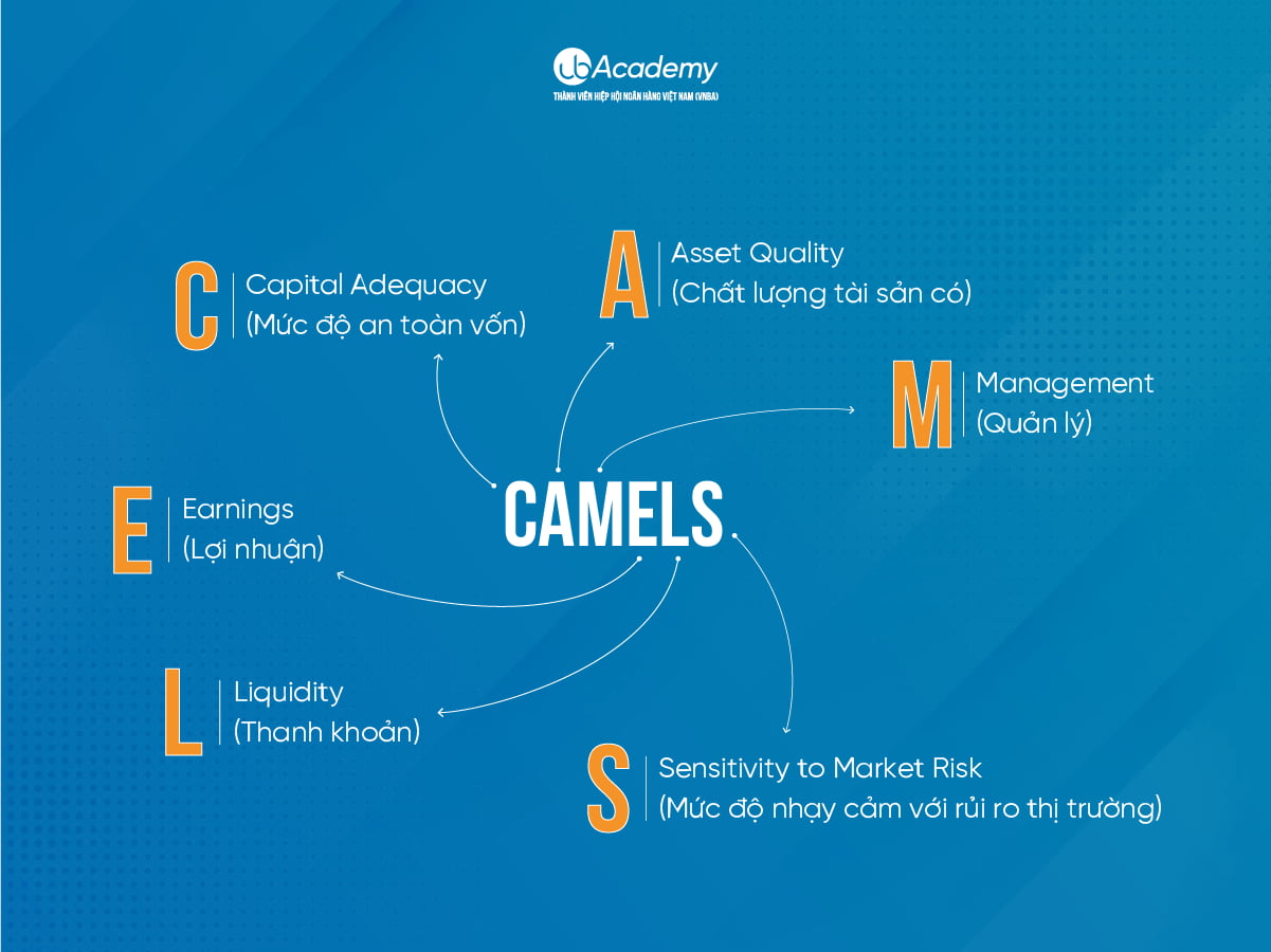 Mô hình CAMELS trong Quản trị rủi ro Ngân hàng 